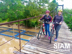 สะพานไม้โบราณ วัดบางหมาก ชุมพร