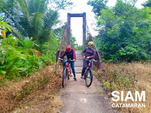สะพานไม้โบราณ วัดบางหมาก ชุมพร