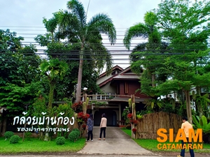 กล้วยบ้านก้อง