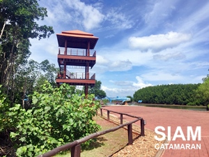 หอชมวิว