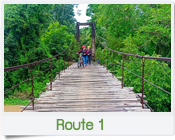 สะพานไม้โบราณ วัดบางหมาก ชุมพร