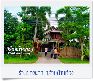 กล้วยบ้านก้อง