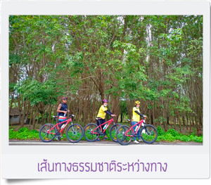 ทัวร์ปั่นจักรยานชุมพร
