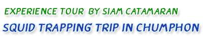 Experience Tour squid trapping