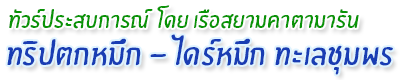 ทัวร์ตกหมึกชุมพร ตกหมึกชุมพร โดยสยามคาตามารัน