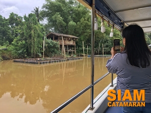cruise river tour