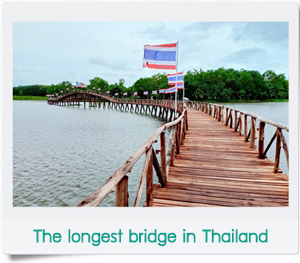 chumphon canal tour