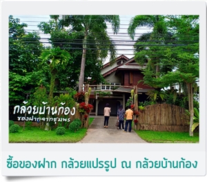 chumphon canal tour