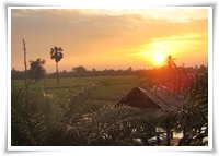 ร้านชมทุ่ง สเต็กเฮาส์
