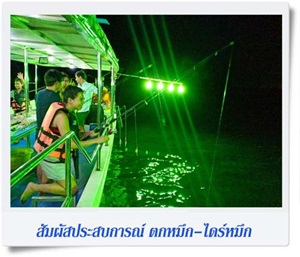 ตกหมึกชุมพร