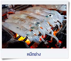 ทัวร์ตกหมึก ชุมพร