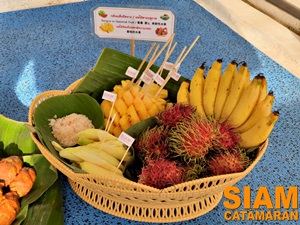 ทัวร์ตกหมึก