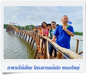 สะพานไม้เคี่ยม แก้มลิง หนองใหญ่
