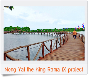 ทัวร์ปั่นจักรยานชุมพร