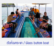 เกาะง่ามใหญ่ ดำน้ำชุมพร