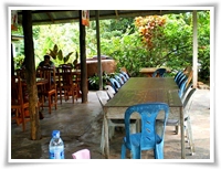 ร้านยายปวด