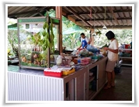 ร้านยายปวด